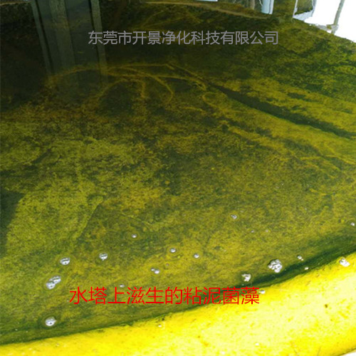 微生物形成和危害-管道水垢清洗-循环水管道清洗-循环冷却水系统清洗