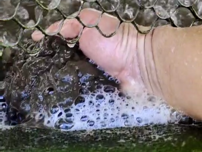 冷却水中污垢的来源-冷却水塔处理淤泥-冷却水塔处理青苔