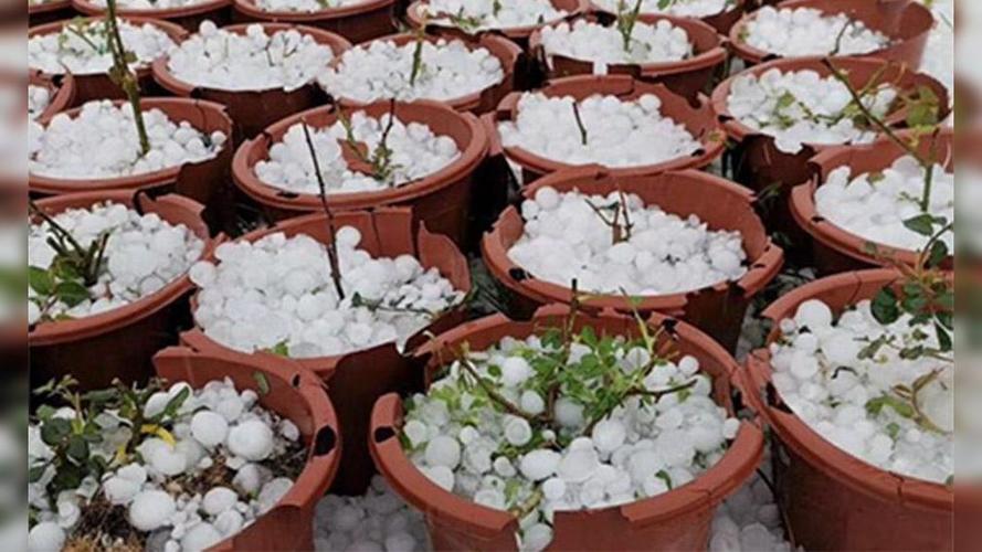 浙江省宁波市宁海县发布冰雹橙色预警-开景净化专业空调清洗公司