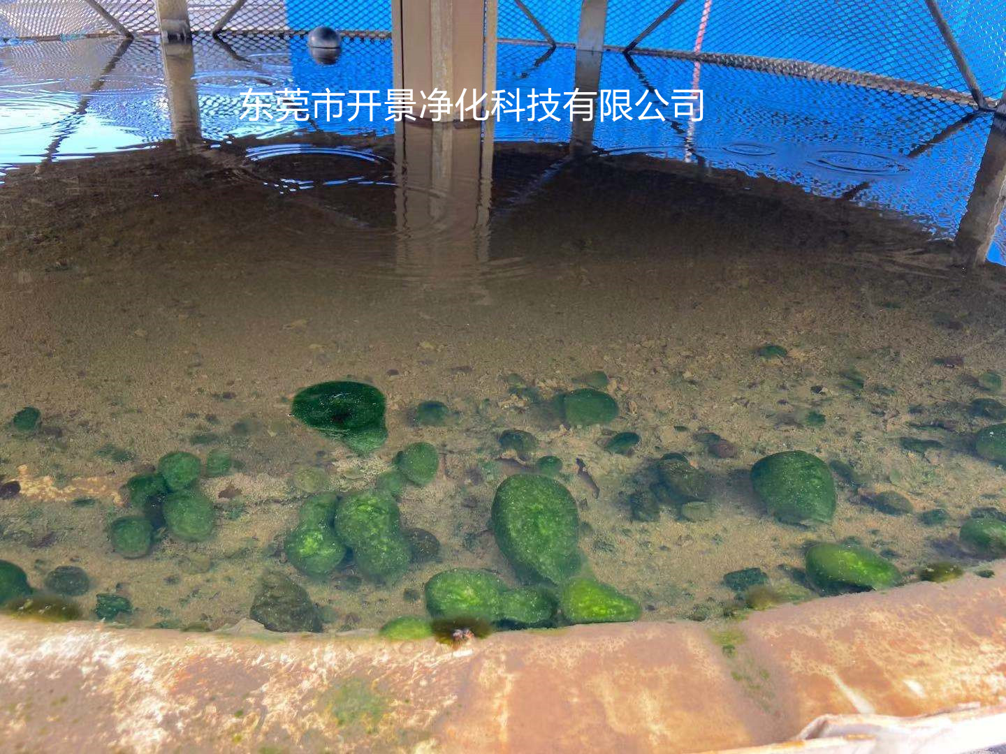 水系统中微生物的来源-水塔上微生物的来源-冷却水中的微生物的来源