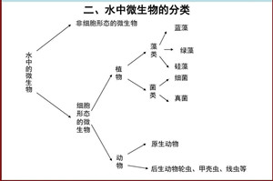 什么是微生物腐蚀？微生物腐蚀-为什么管道会腐蚀-微生物腐蚀的原理