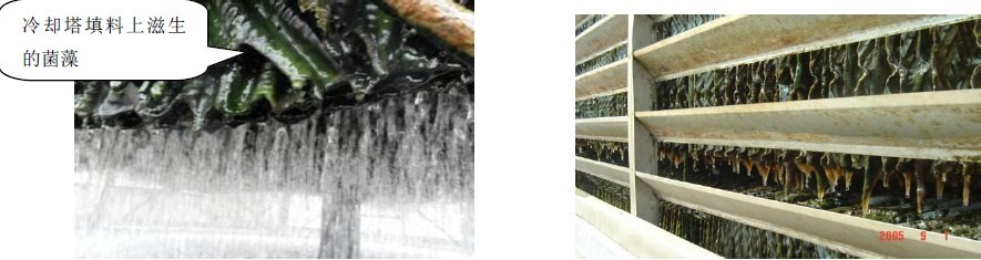 冷却水系统水质保养的目的和方法-冷却水系统日常保养的好处-为什么要对冷却水系统进行水质保养-怎样保养冷却水系统